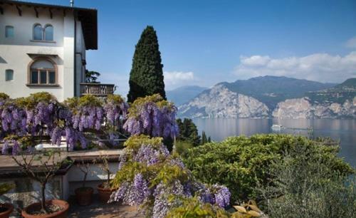 Hotel Bellevue San Lorenzo----