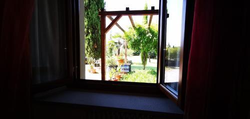 Agroturismo Palma's Country B&B