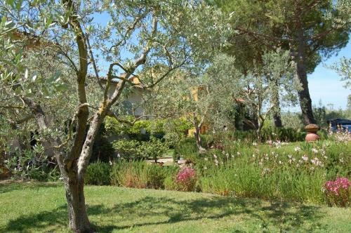 Apartamento La Rocca Di Montalbino