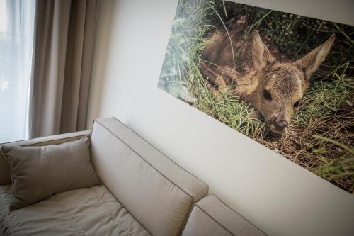 Apartamento Rta Alpin Dolomites