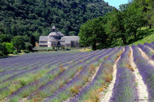 Hotel La Cl� Des Champs