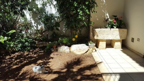 Bed & Breakfast Federico II