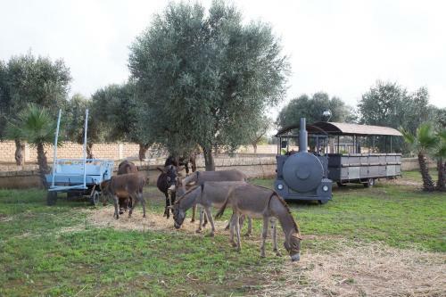 Agroturismo Masseria Grande
