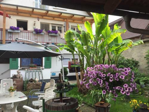 Apartamentos Haus Gisela