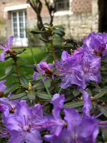 Bed & Breakfast La Parenthese Du Rond Royal
