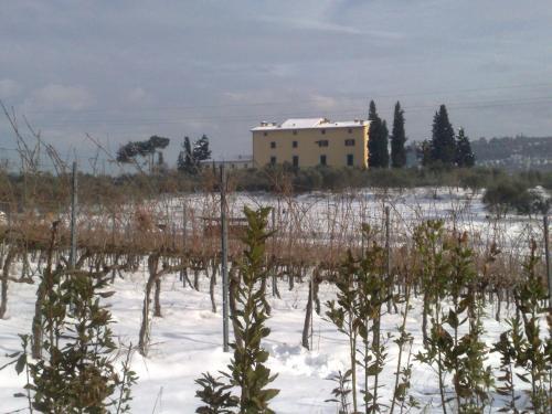 Agroturismo La Capannaccia