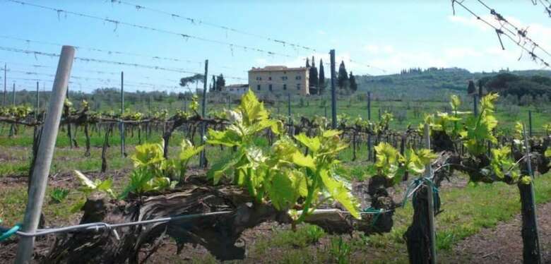 Agroturismo La Capannaccia