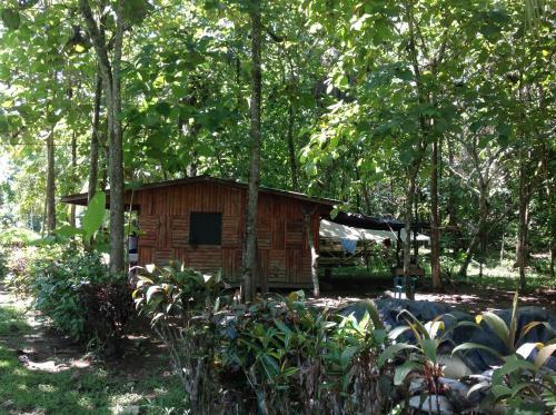 Beach Hut Las Lapas