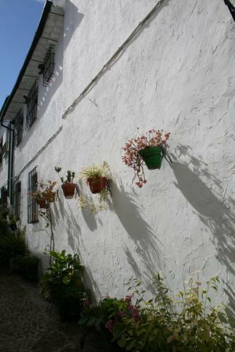 Agroturismo Casa Rural Zambra