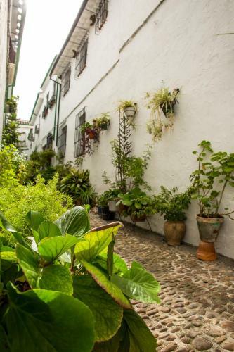 Agroturismo Casa Rural Zambra