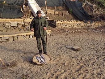 Bed And Breakfast Flumen