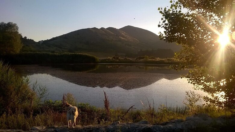 Agroturismo La Locanda Sul Lago