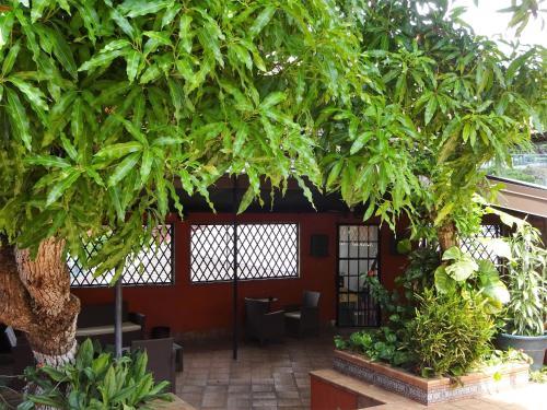 Coblentz Inn Boutique Hotel