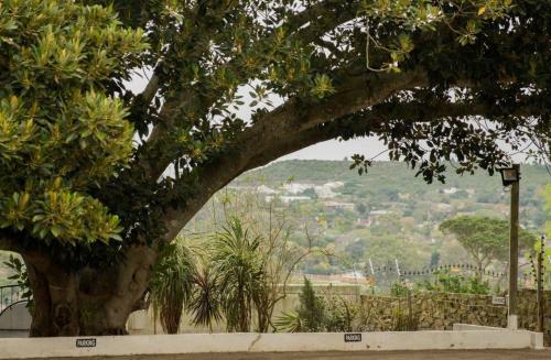 Hostal A White House Guest House