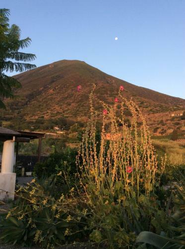 Hostal Casa Vacanze Dell'avvocato