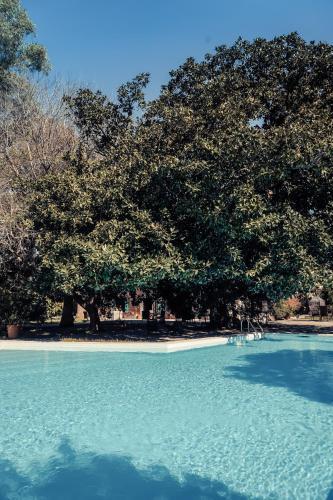 Agroturismo Finca Cas Sant