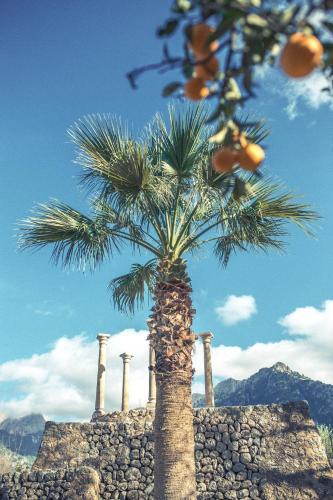 Agroturismo Finca Cas Sant