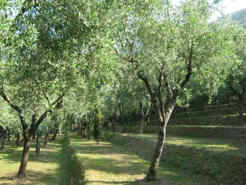 Agroturismo L'arcadia