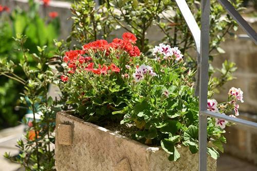 Hostal Nonno Uccio