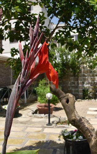 Hostal Nonno Uccio