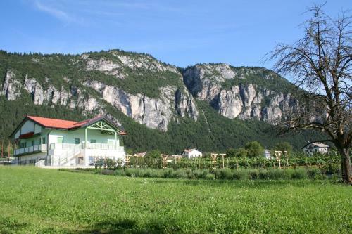 Agroturismo Agriturismo Florandonole
