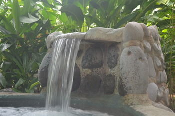 Hotel Volcano Lodge And Springs