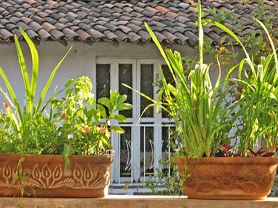 Hotel La Casona Temazcal