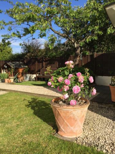 Bed & Breakfast The Engine Shed