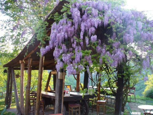 Agroturismo Casa Flu� Relais