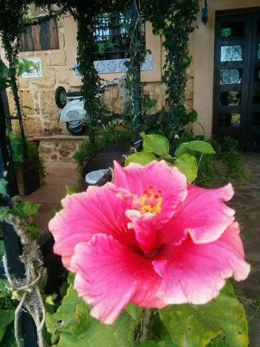 Agroturismo B&B Villa San Marco