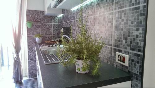 Agr'in Center Apartment - Grey