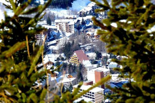 Hotel Adret
