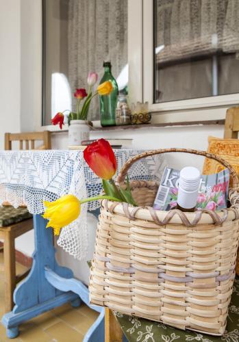 Hostal Emese Vend�gh�z Noszvaj