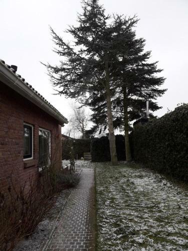 Zomerhuis De Zeedistel