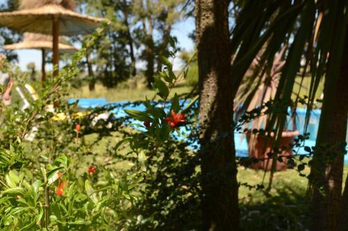 Lodge Caba�as Las Pl�yades
