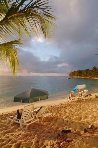Hotel Discovery Bay By Rex Resorts