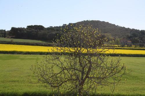 Agroturismo Mas�a Rural Can Poch