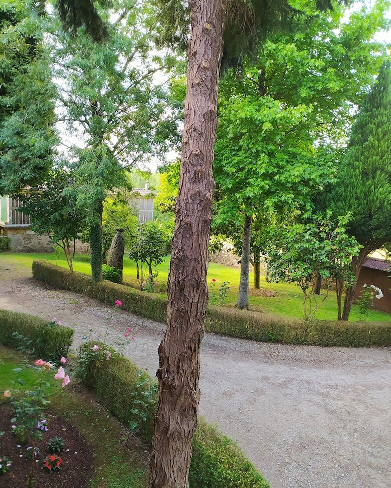 Hotel Pazo Xan Xordo