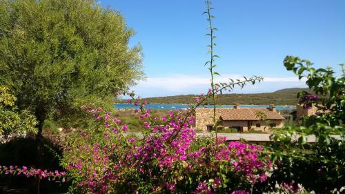 Hotel Guest House Vela Blu