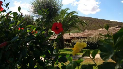 Hotel Guest House Vela Blu