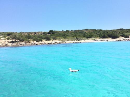 Apartamento Residence Golfo Di Marinella