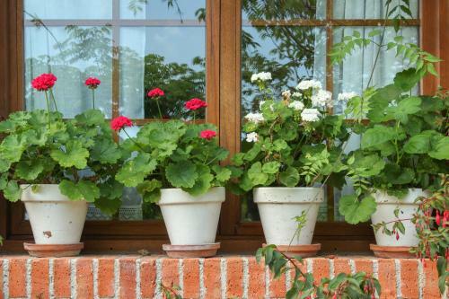 Agroturismo Casa Ines