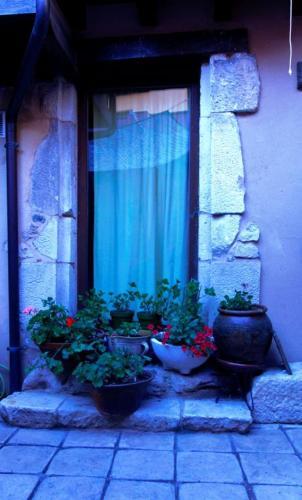 Agroturismo El Zagu�n
