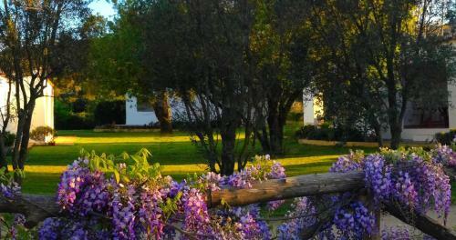 Agroturismo Agriturismo Li Scopi