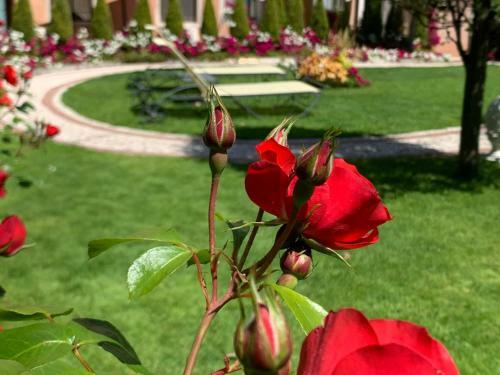Best Western Hotel Olimpia Venezia