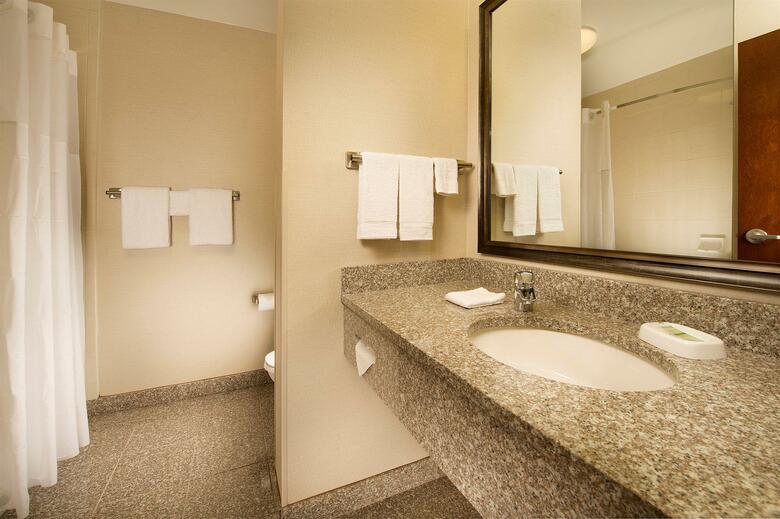 Hotel Drury Inn & Suites Orlando