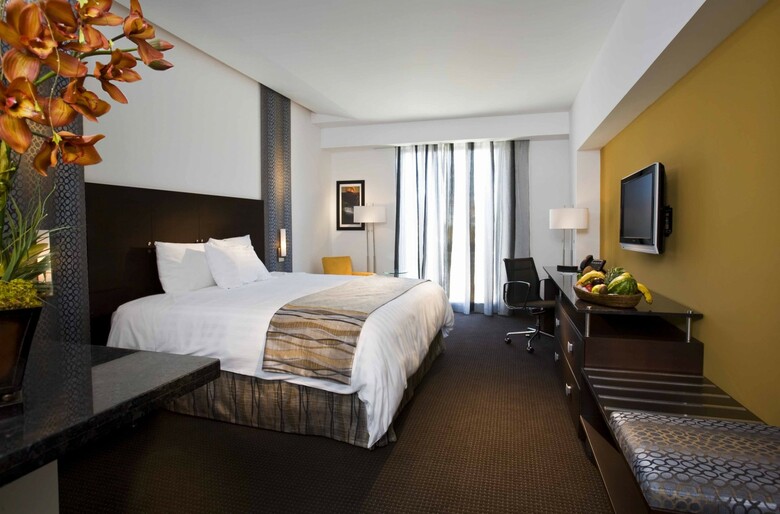 Hotel Holiday Inn Santo Domingo