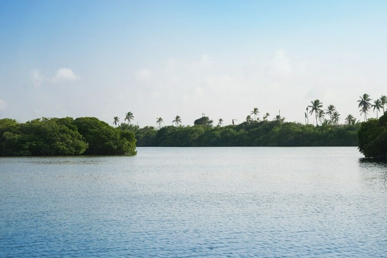 Hotel Isla Tajin Beach And River Resort