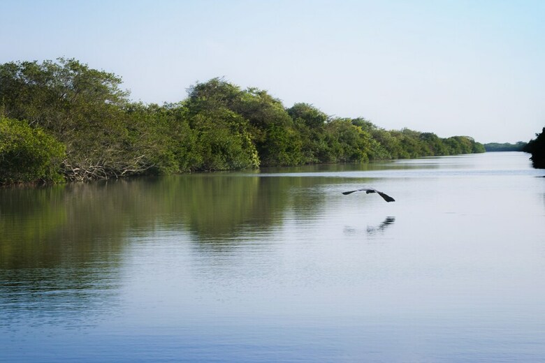 Hotel Isla Tajin Beach And River Resort