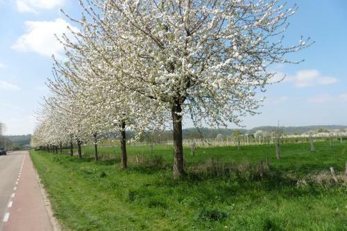 Bed & Breakfast Vakantie Studio Eijsden